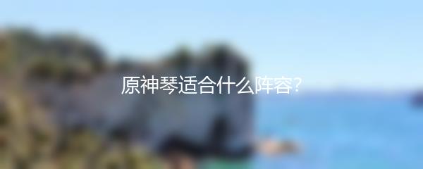 原神琴适合什么阵容？