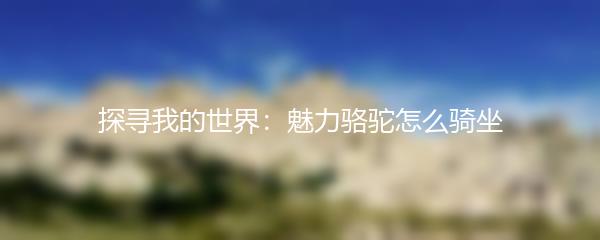 探寻我的世界：魅力骆驼怎么骑坐