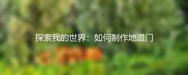 探索我的世界：如何制作地道门
