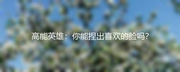 高能英雄：你能捏出喜欢的脸吗？