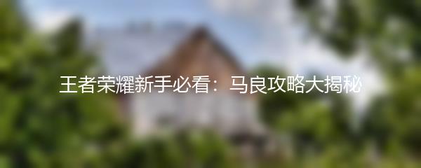 王者荣耀新手必看：马良攻略大揭秘