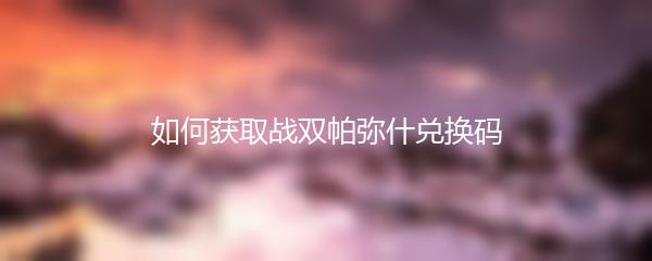 如何获取战双帕弥什兑换码