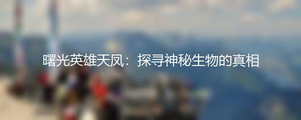 曙光英雄天凤：探寻神秘生物的真相