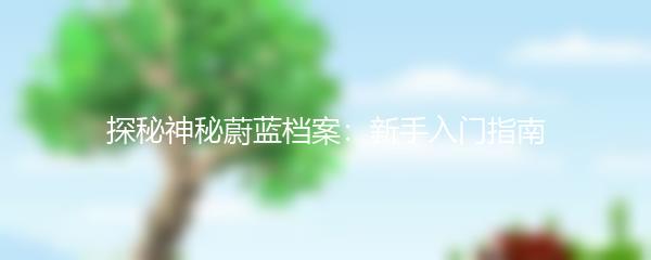 探秘神秘蔚蓝档案：新手入门指南