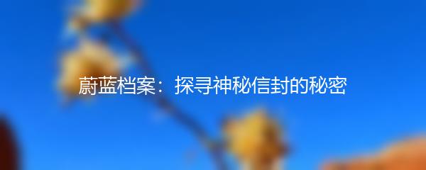 蔚蓝档案：探寻神秘信封的秘密