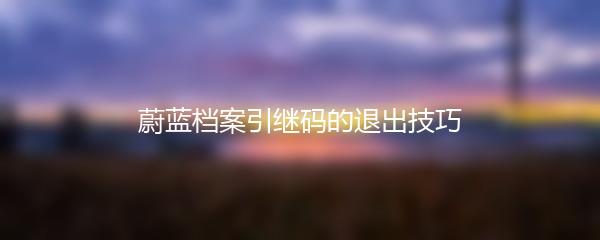 蔚蓝档案引继码的退出技巧