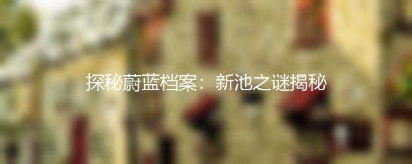 探秘蔚蓝档案：新池之谜揭秘