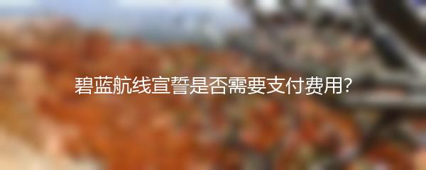 碧蓝航线宣誓是否需要支付费用？