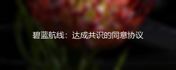 碧蓝航线：达成共识的同意协议