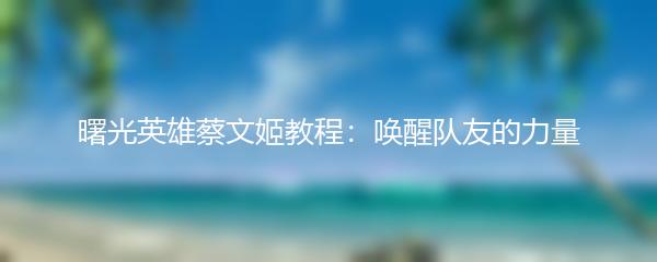 曙光英雄蔡文姬教程：唤醒队友的力量