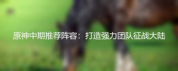 原神中期推荐阵容：打造强力团队征战大陆