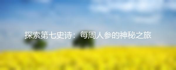 探索第七史诗：每周人参的神秘之旅
