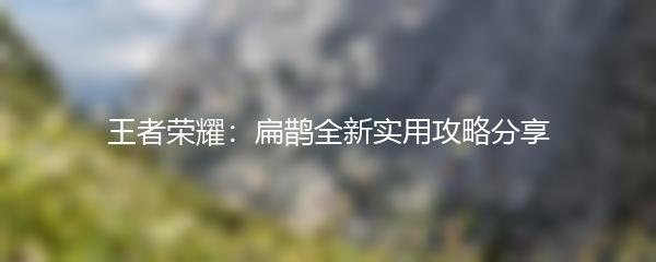 王者荣耀：扁鹊全新实用攻略分享