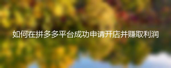 如何在拼多多平台成功申请开店并赚取利润