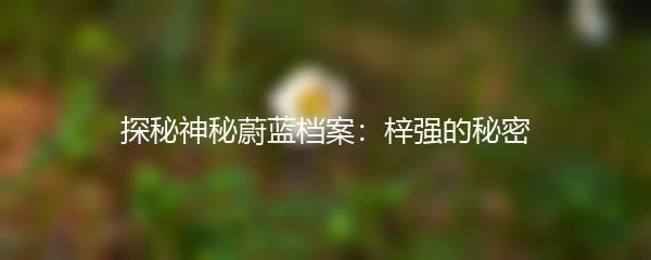 探秘神秘蔚蓝档案：梓强的秘密
