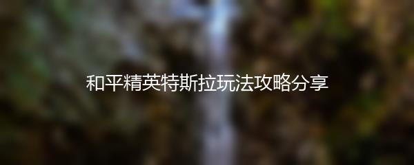 和平精英特斯拉玩法攻略分享