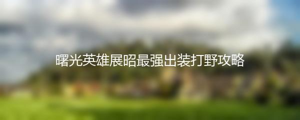 曙光英雄展昭最强出装打野攻略
