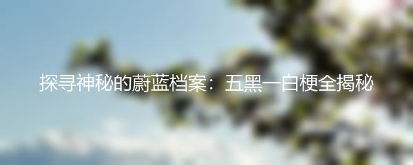 探寻神秘的蔚蓝档案：五黑一白梗全揭秘
