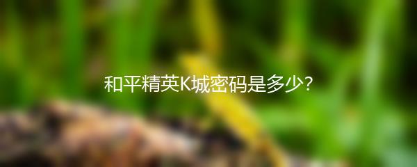 和平精英K城密码是多少？