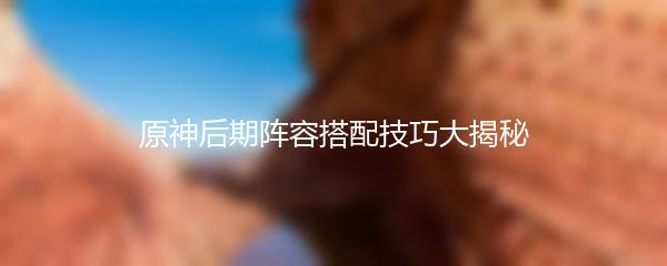 原神后期阵容搭配技巧大揭秘