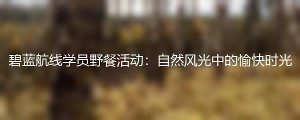 碧蓝航线学员野餐活动：自然风光中的愉快时光