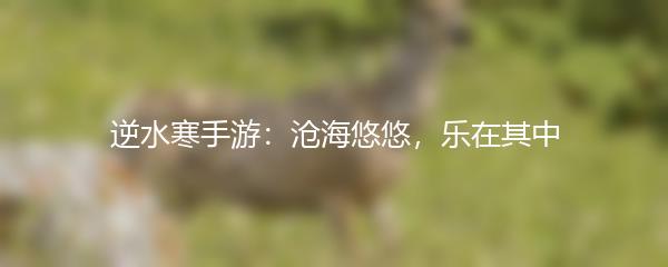 逆水寒手游：沧海悠悠，乐在其中