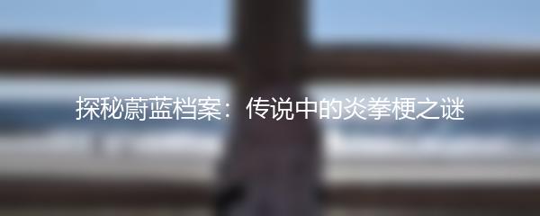 探秘蔚蓝档案：传说中的炎拳梗之谜