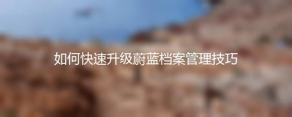 如何快速升级蔚蓝档案管理技巧