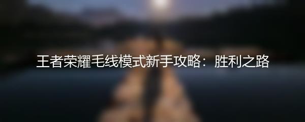 王者荣耀毛线模式新手攻略：胜利之路