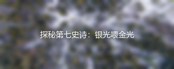 探秘第七史诗：银光喂金光