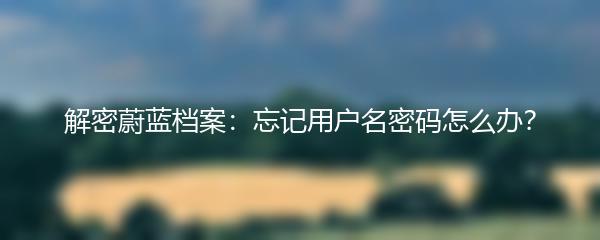 解密蔚蓝档案：忘记用户名密码怎么办？