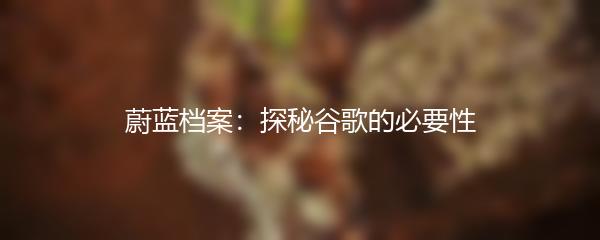 蔚蓝档案：探秘谷歌的必要性