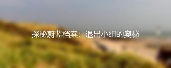 探秘蔚蓝档案：退出小组的奥秘