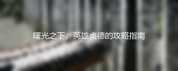 曙光之下，英雄贞德的攻略指南