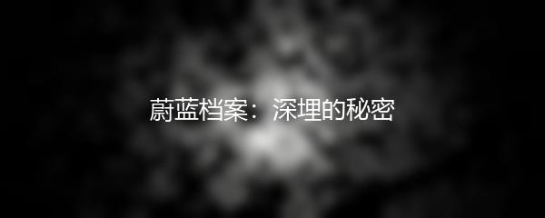 蔚蓝档案：深埋的秘密