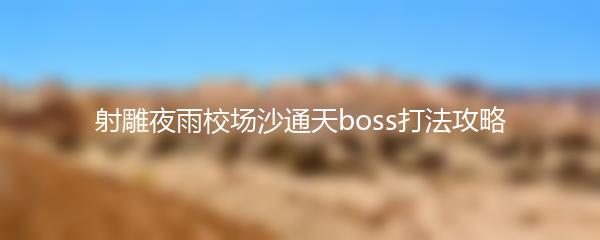 射雕夜雨校场沙通天boss打法攻略