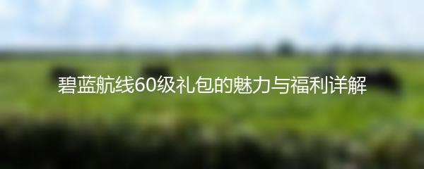 碧蓝航线60级礼包的魅力与福利详解