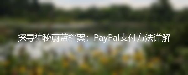 探寻神秘蔚蓝档案：PayPal支付方法详解