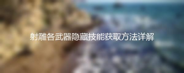 射雕各武器隐藏技能获取方法详解