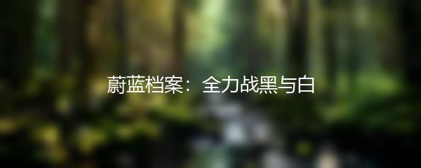 蔚蓝档案：全力战黑与白