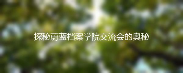 探秘蔚蓝档案学院交流会的奥秘