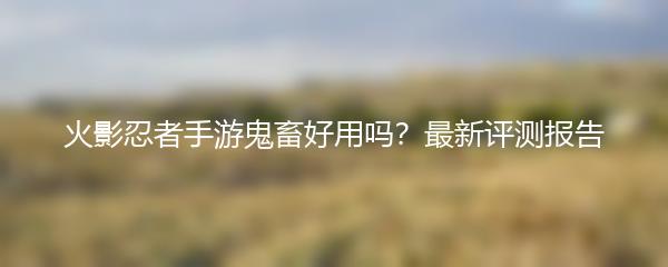 火影忍者手游鬼畜好用吗？最新评测报告