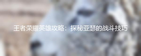 王者荣耀英雄攻略：探秘亚瑟的战斗技巧