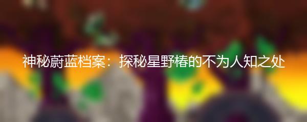 神秘蔚蓝档案：探秘星野椿的不为人知之处