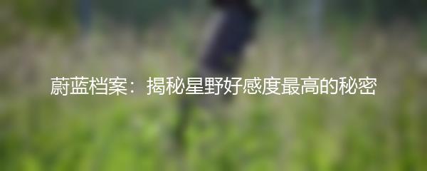 蔚蓝档案：揭秘星野好感度最高的秘密