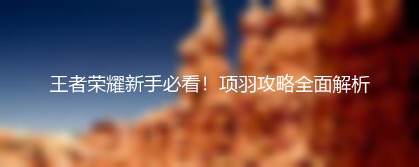 王者荣耀新手必看！项羽攻略全面解析