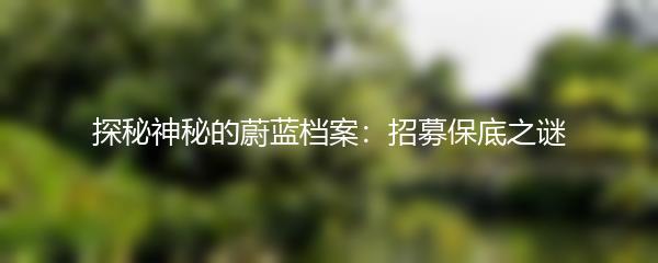 探秘神秘的蔚蓝档案：招募保底之谜