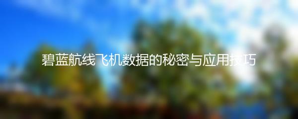 碧蓝航线飞机数据的秘密与应用技巧