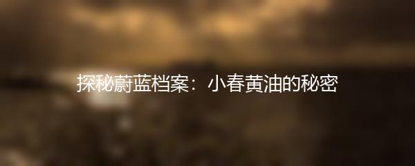 探秘蔚蓝档案：小春黄油的秘密