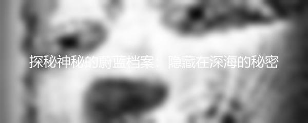探秘神秘的蔚蓝档案：隐藏在深海的秘密